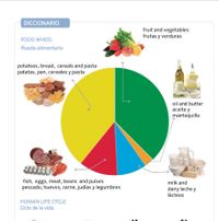Healthy diet. Food wheel= Food Pyramid.